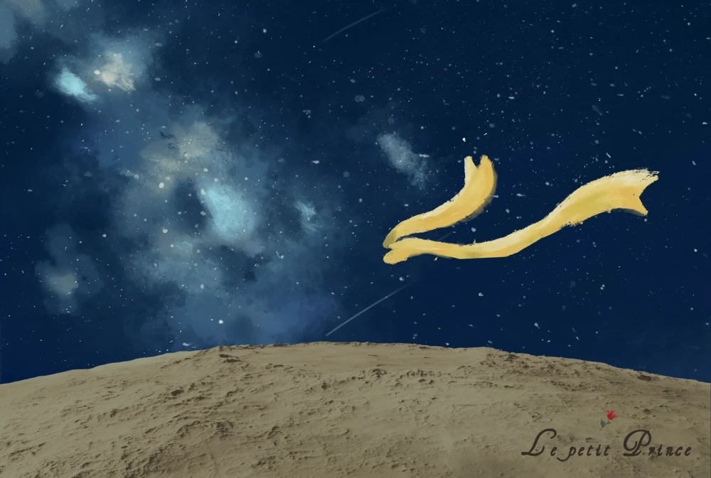 梦幻宇宙玫瑰主题儿童照片拍摄后期处理素材模板(3).psd