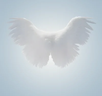 幻想风格人物设计图 羽毛翅膀艺术照素材分享(6).psd