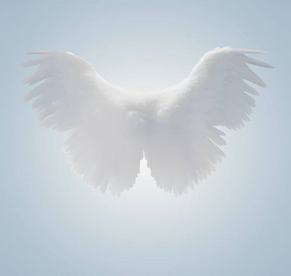 幻想风格人物设计图 羽毛翅膀艺术照素材分享(6).psd