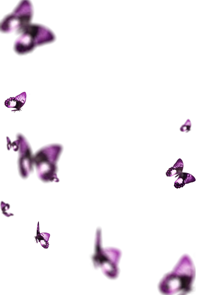 彩色炫彩蝴蝶飞舞特效影楼写真后期修图叠加合成素材png设计素材(26)