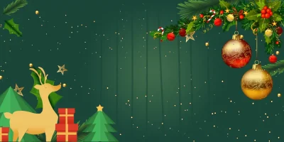 圣诞节主题红绿配色设计图(225).psd